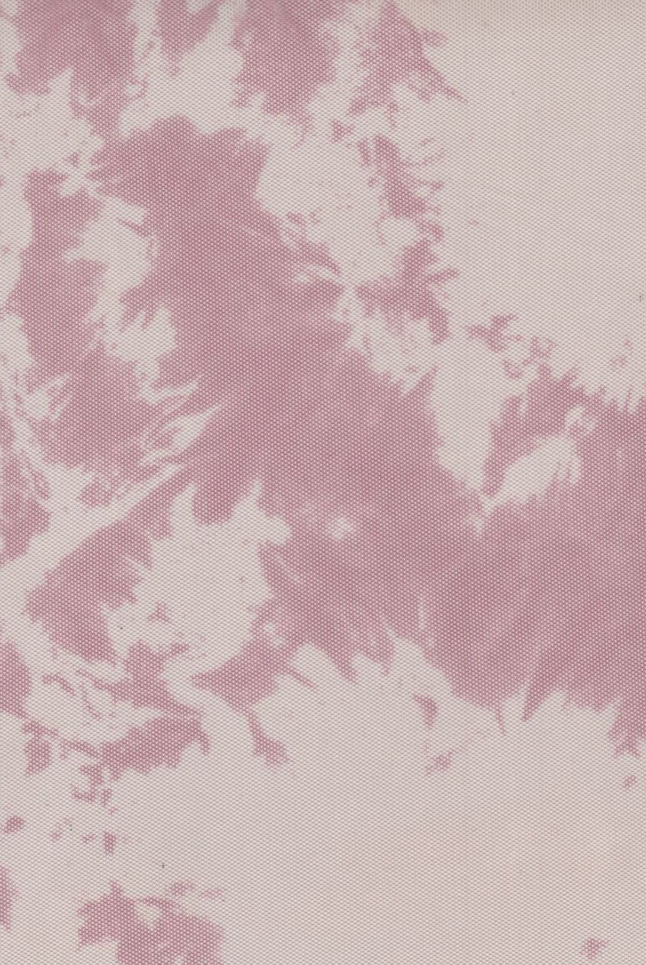 MESH-Q00122 ROSE BLOUSE BODYSUIT CAMI FLOCKING LOUNGEWEAR MESH PINK POLYESTER PRINT SPANDEX STRETCH TIE-DYE TOPS TUNICS WHITE