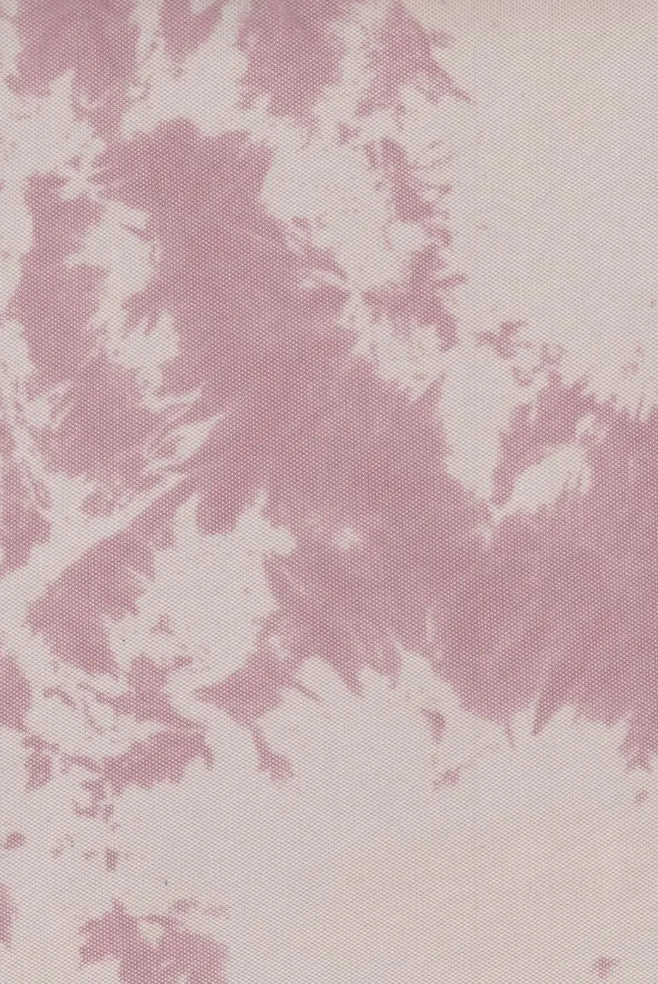 MESH-Q00122 ROSE BLOUSE BODYSUIT CAMI FLOCKING LOUNGEWEAR MESH PINK POLYESTER PRINT SPANDEX STRETCH TIE-DYE TOPS TUNICS WHITE