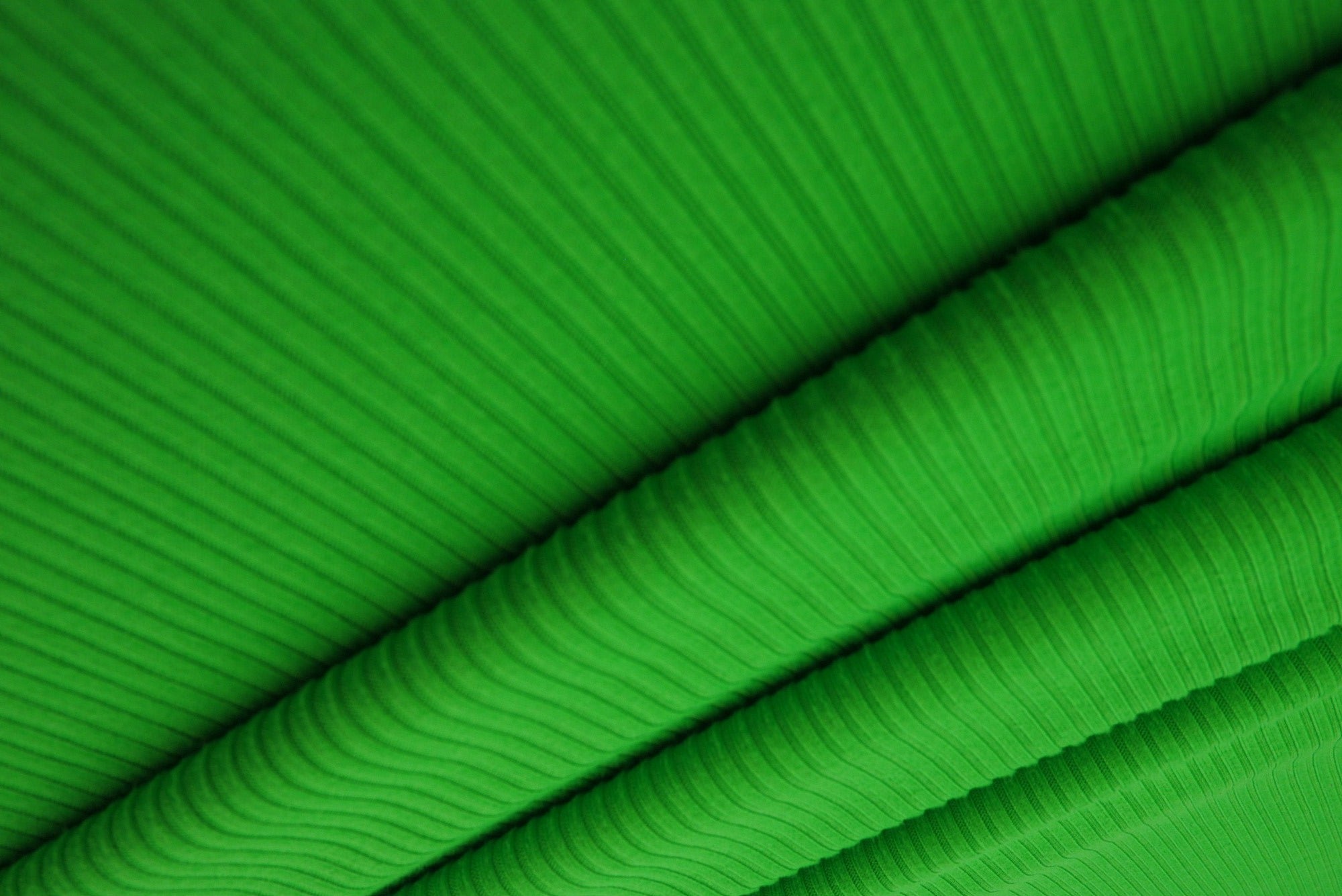 KNT4151 GREEN BIKER SHORTS BODYSUIT BOTTOMS CAMI DRESS GREEN KNIT LOUNGEWEAR NO-PRINT POLYESTER RIB 4X2 SOLID-B SPANDEX STRETCH TOPS YUMMY