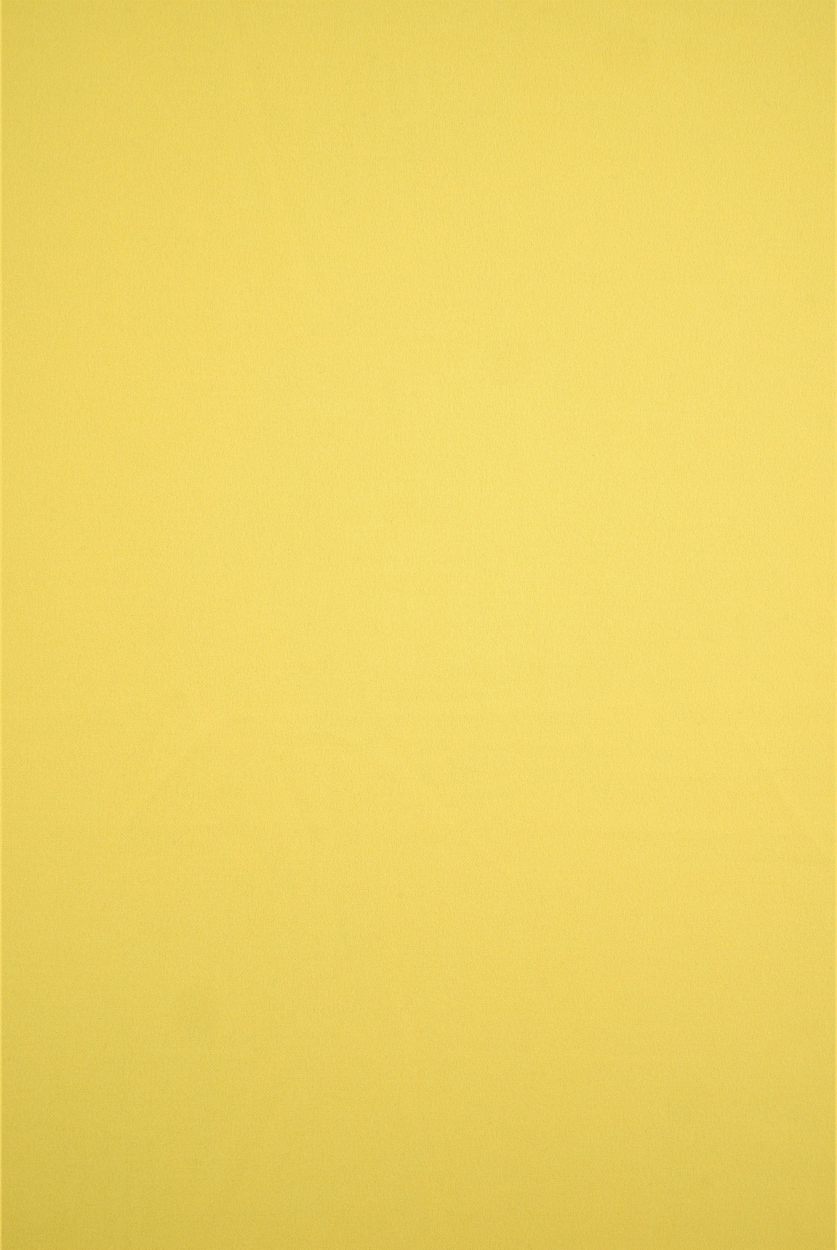 Techno Crepe Solid Stretch Knit Fabric - TECH-3311