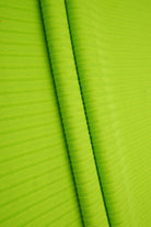 KNT4135 LIME ACTIVEWEAR BIKER SHORTS BODYSUIT BOTTOMS CAMI DRESS GREEN KNIT LOUNGEWEAR NEON NO-PRINT PANTS POLYESTER RIB 8X3 SOLID SPANDEX STRETCH SUBLIMATION T-SHIRT TOPS TUNICS YUMMY