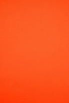 KNT1911 ORANGE ACTIVEWEAR BIKER SHORTS BLOUSE BODYSUIT BOTTOMS CAMI DRESS KNIT LOUNGEWEAR NO-PRINT ORANGE OUTERWEAR POLYESTER SOLID SPANDEX STRETCH T-SHIRT TOPS TUNICS VENECIA