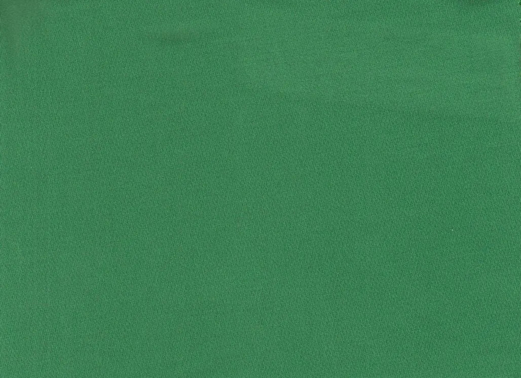 KNT1911 KELLY GREEN ACTIVEWEAR BIKER SHORTS BLOUSE BODYSUIT BOTTOMS CAMI DRESS GREEN KNIT LOUNGEWEAR NO-PRINT OUTERWEAR POLYESTER SOLID SPANDEX STRETCH T-SHIRT TOPS TUNICS VENECIA