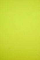 KNT1911 LOVE BIRD ACTIVEWEAR BIKER SHORTS BLOUSE BODYSUIT BOTTOMS CAMI DRESS GREEN KNIT LOUNGEWEAR NEON NO-PRINT OUTERWEAR POLYESTER SOLID SPANDEX STRETCH T-SHIRT TOPS TUNICS VENECIA