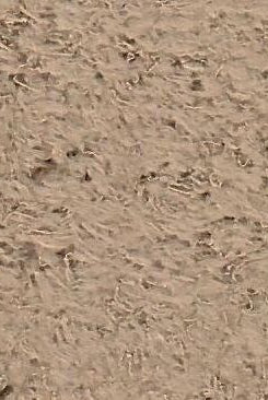 KNT4487 COCO ACTIVEWEAR BOTTOMS BROWN KNIT LOUNGEWEAR NO-PRINT OUTERWEAR POLYESTER SOLID SPANDEX STRETCH SWEATER