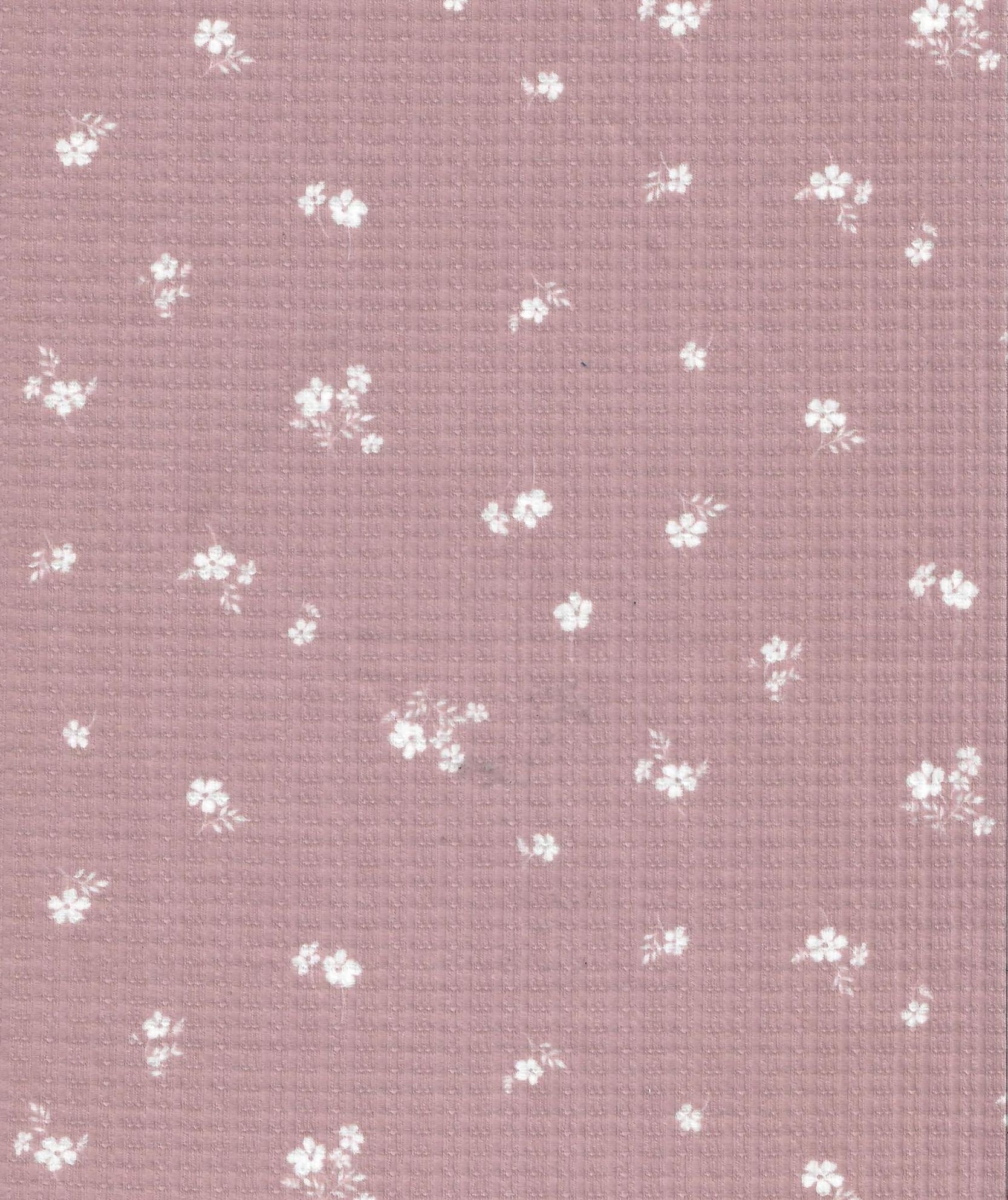 KNT3359-Q00620 ROSE DUSTY BODYSUIT BOTTOMS DAISY FLOWER DIGITAL PRINT DITSY DRESS KNIT LOUNGEWEAR POINTELLE POLYESTER RAYON RIBBED SKIRTS SPANDEX STRETCH TOPS