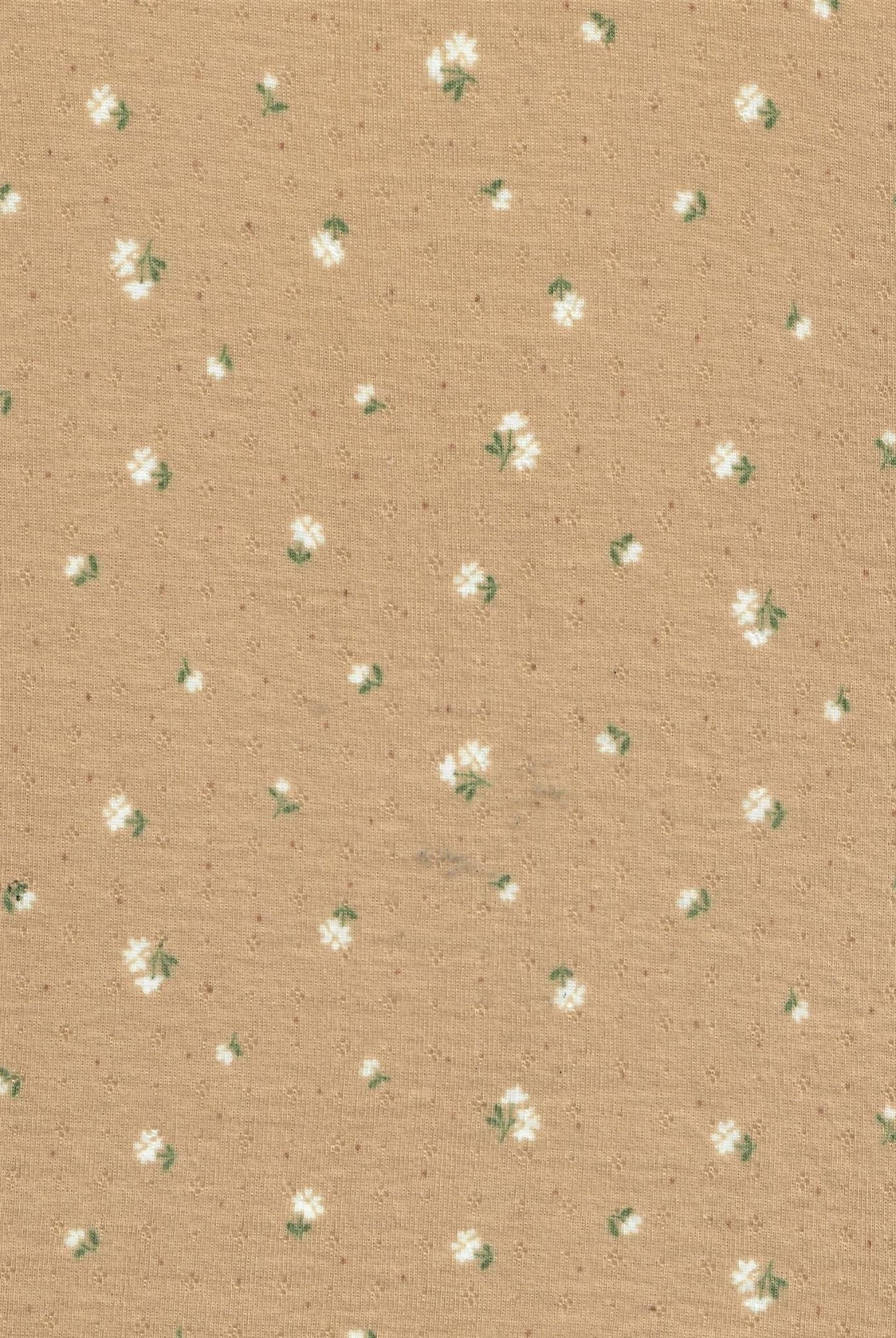 Ditsy Print Cotton Style Pointelle Knit Fabric - KNT4605-MS11365