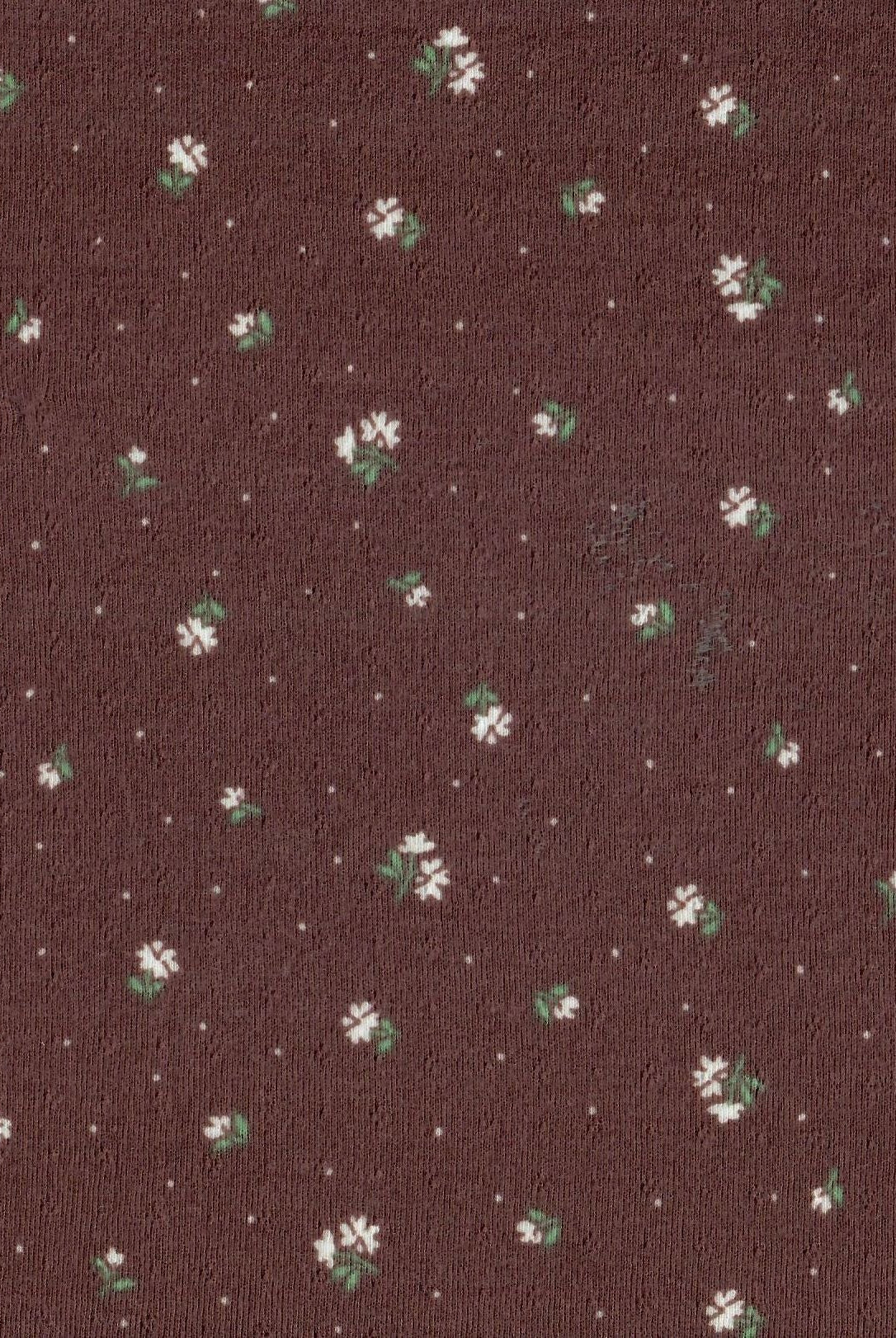 Ditsy Print Cotton Style Pointelle Knit Fabric - KNT4605-MS11365