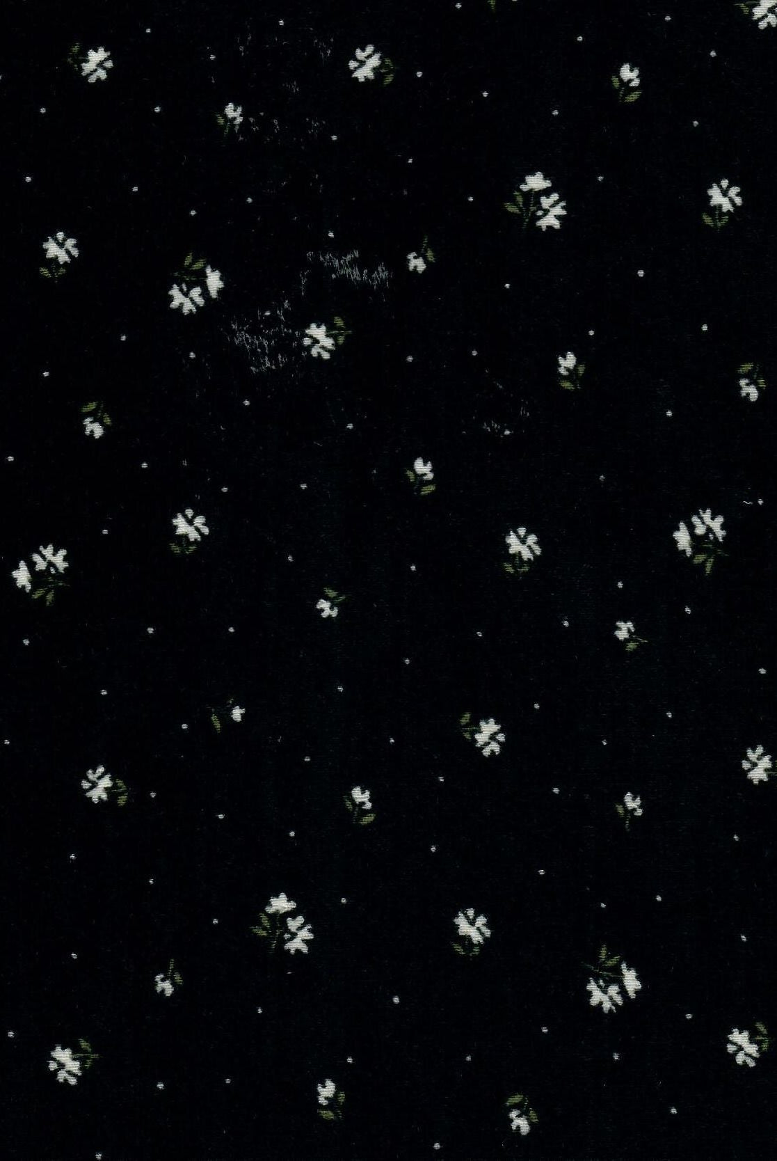 Ditsy Print Cotton Style Pointelle Knit Fabric - KNT4605-MS11365