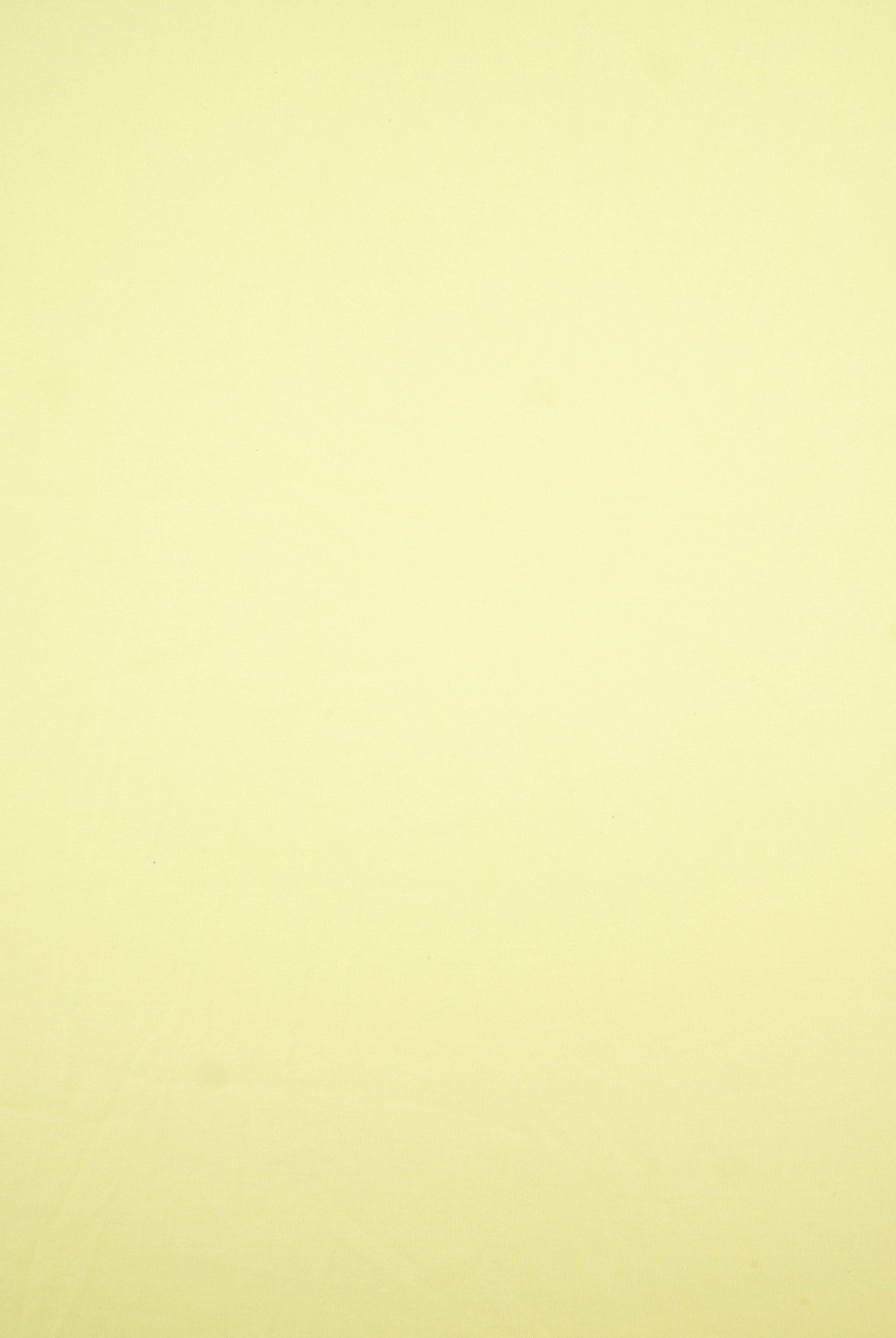 DTY Brushed Solid Stretch Knit Fabric - KNT2100