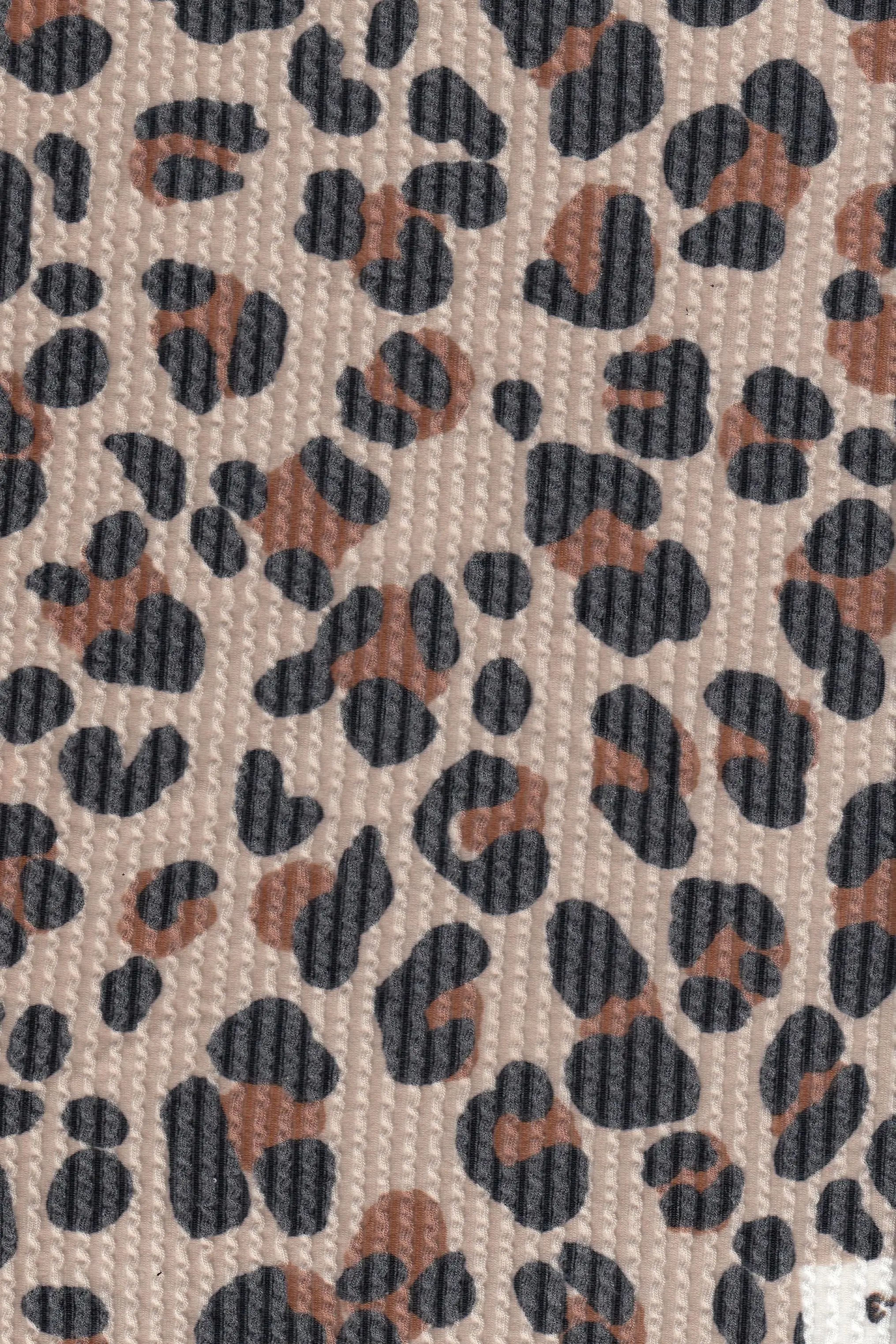 KNT4463-MS11623 TAUPE KNIT