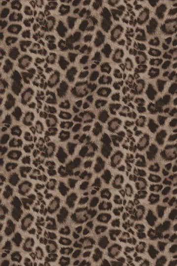 Fabric Selection Retail