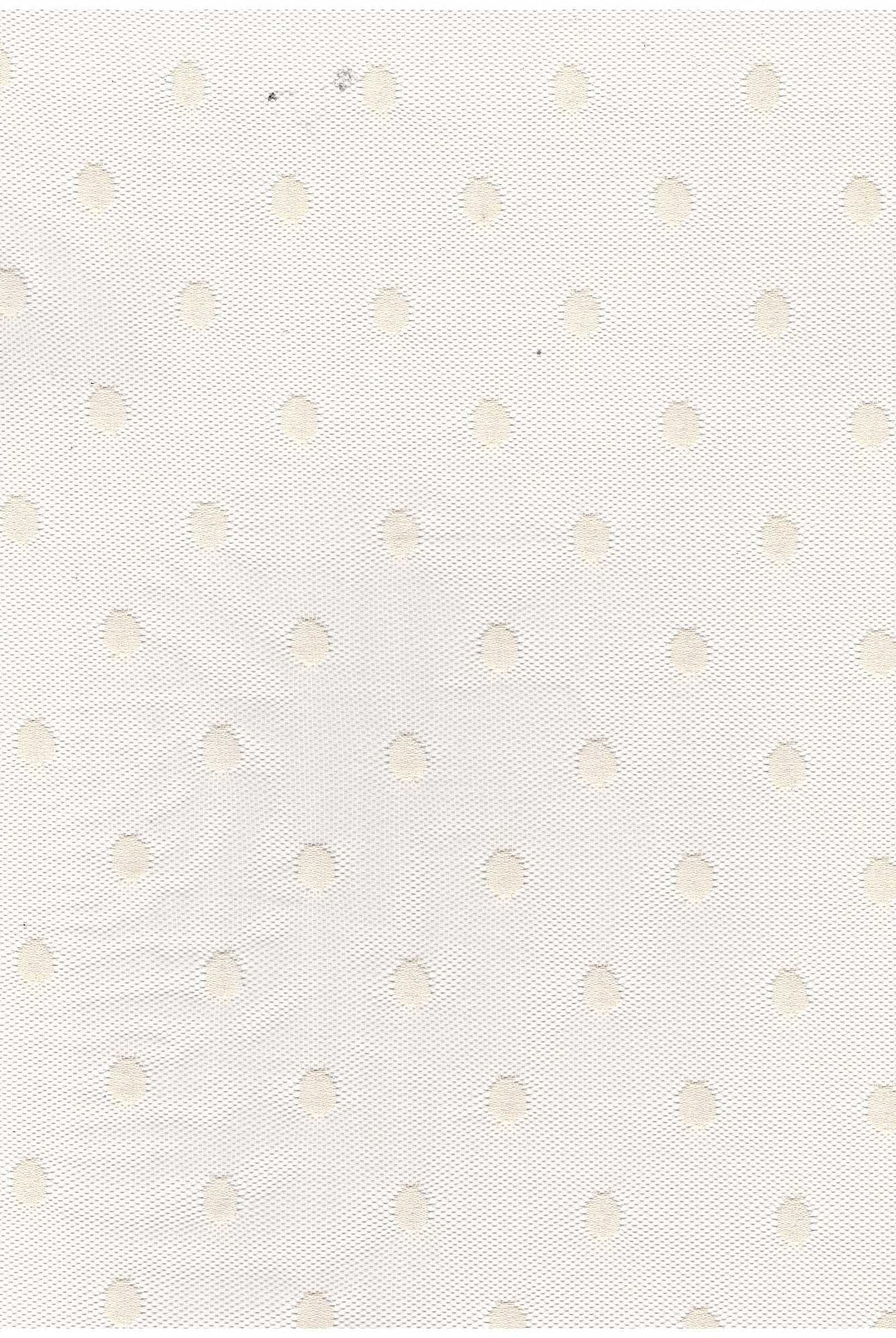 Polka Dot Mesh Stretch Fabric - MESH-3698