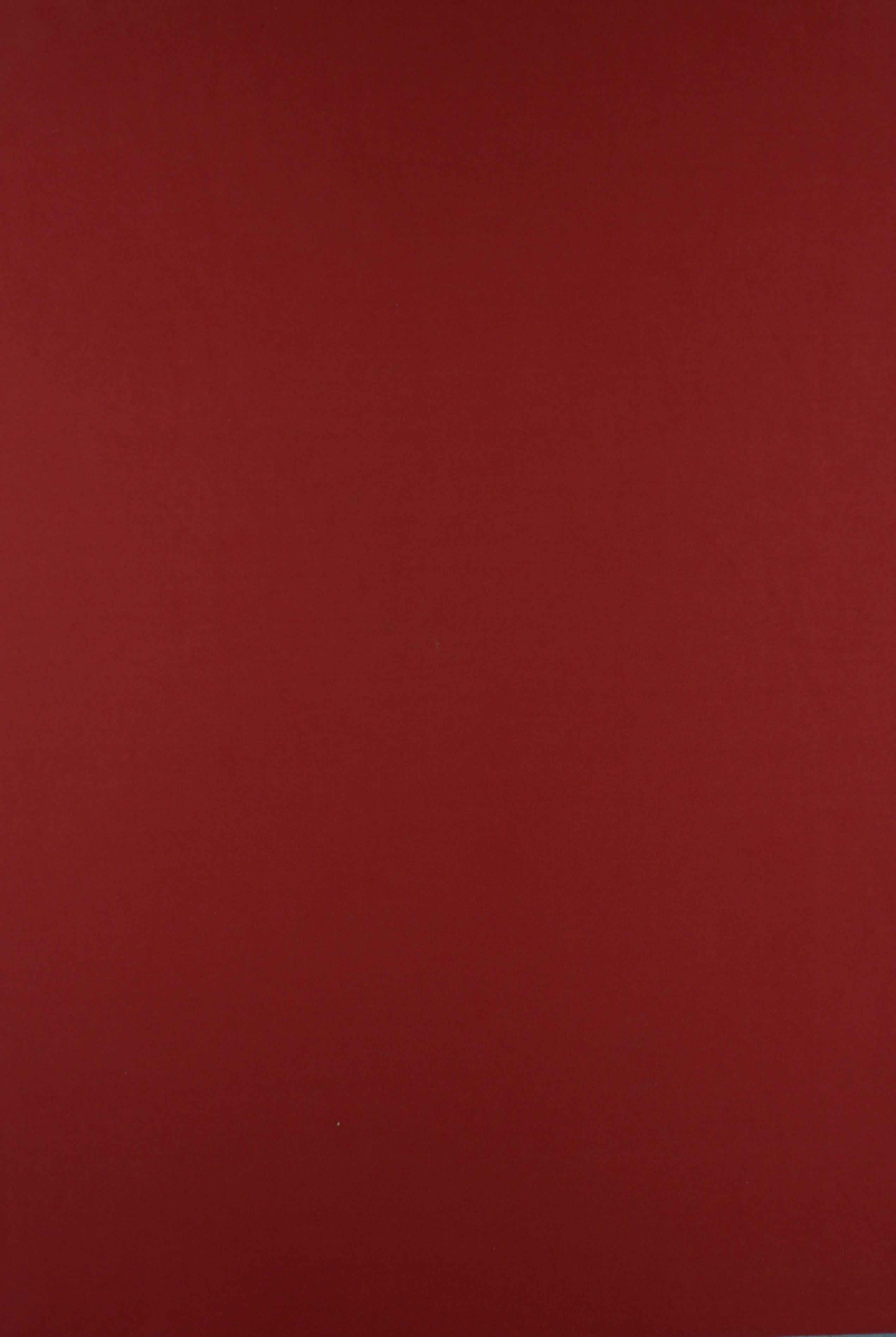 KNT2100 TERRACOTTA BIKER SHORTS BODYSUIT CAMI DRESS DTY BRUSHED KNIT LOUNGEWEAR NO-PRINT ORANGE PANTS POLYESTER SOLID SPANDEX STRETCH SUBLIMATION T-SHIRT TOPS TUNICS