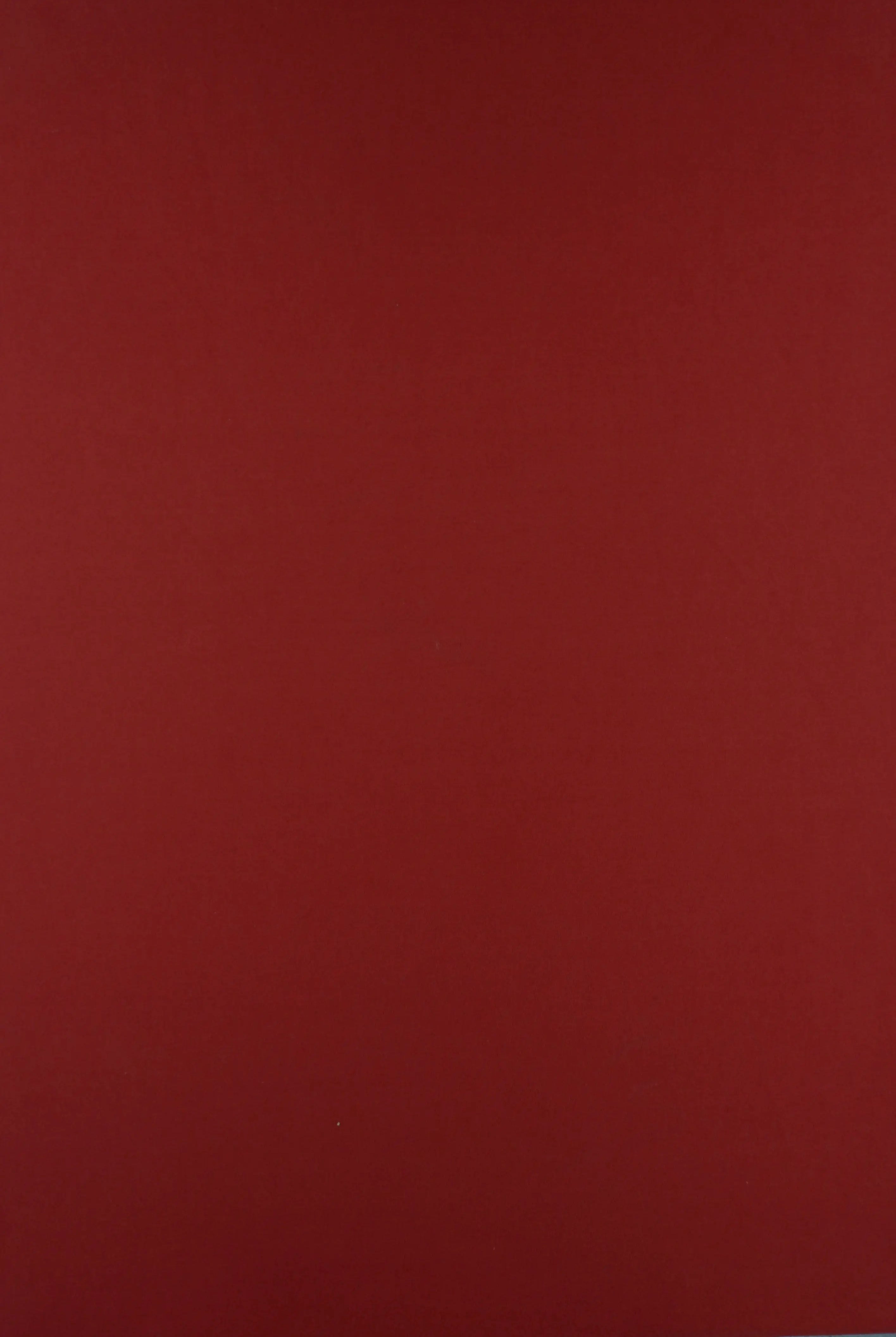 KNT2100 TERRACOTTA BIKER SHORTS BODYSUIT CAMI DRESS DTY BRUSHED KNIT LOUNGEWEAR NO-PRINT ORANGE PANTS POLYESTER SOLID SPANDEX STRETCH SUBLIMATION T-SHIRT TOPS TUNICS