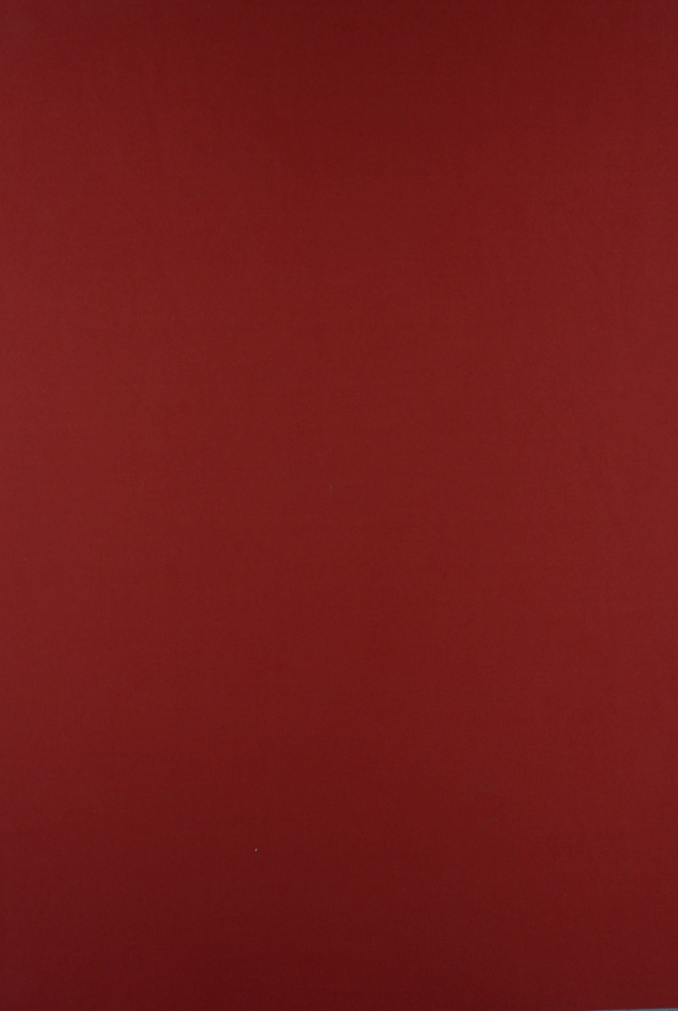 DTY Brushed Solid Stretch Knit Fabric - KNT2100