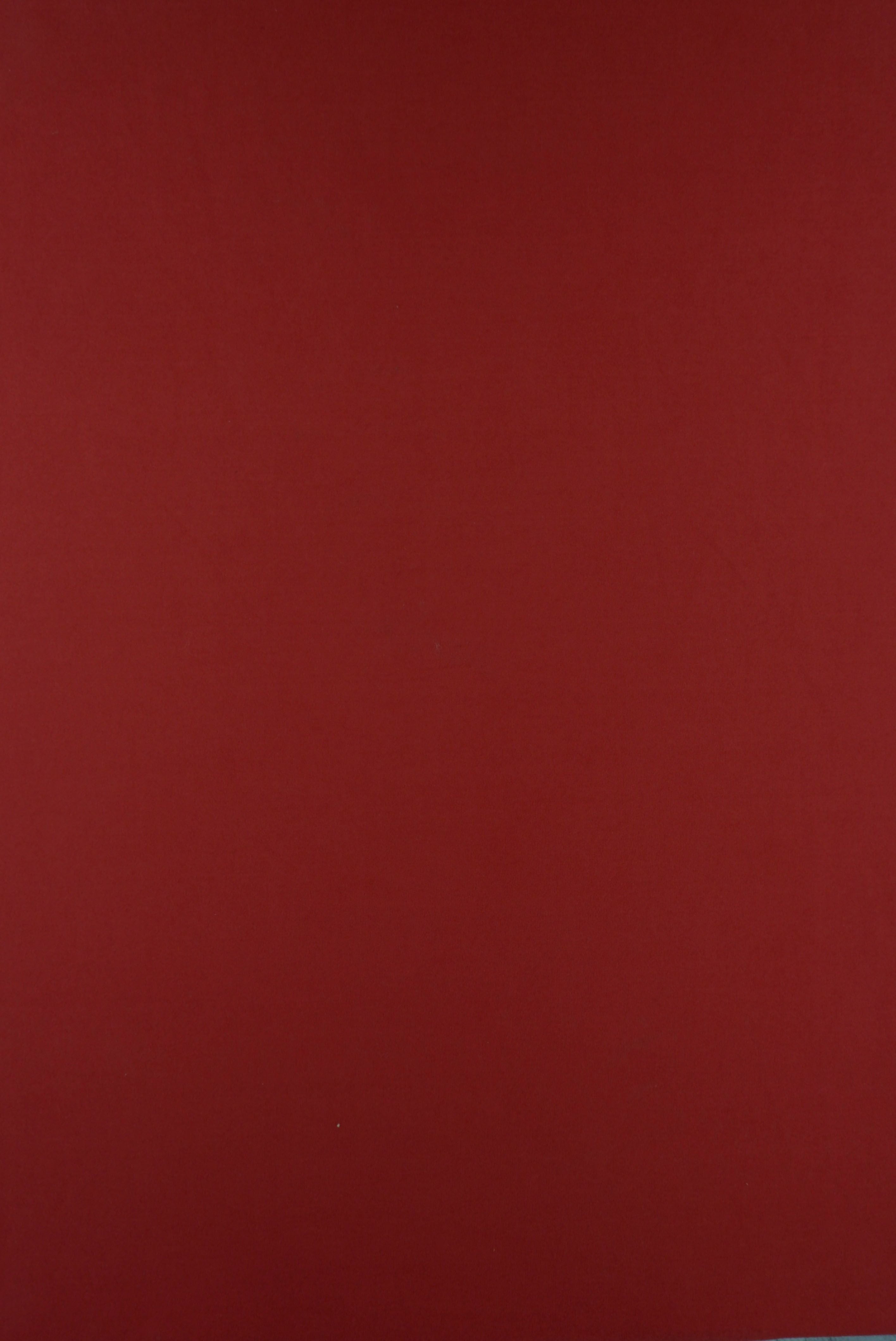 KNT2100 TERRACOTTA BIKER SHORTS BODYSUIT CAMI DRESS DTY BRUSHED KNIT LOUNGEWEAR NO-PRINT ORANGE PANTS POLYESTER SOLID SPANDEX STRETCH SUBLIMATION T-SHIRT TOPS TUNICS