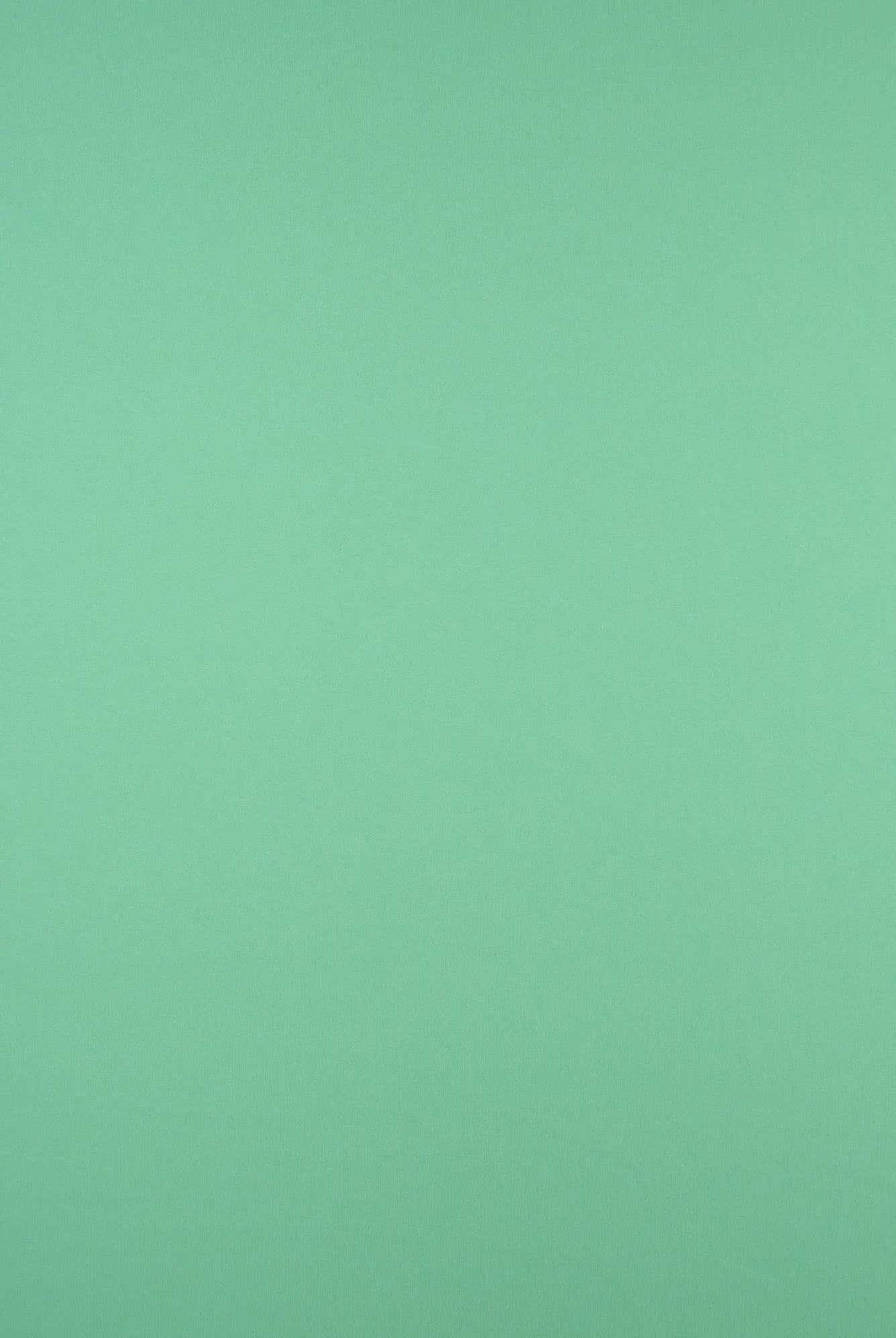 KNT2100 MINT BIKER SHORTS BODYSUIT CAMI DRESS DTY BRUSHED GREEN KNIT LOUNGEWEAR NO-PRINT PANTS POLYESTER SOLID SPANDEX STRETCH SUBLIMATION T-SHIRT TOPS TUNICS