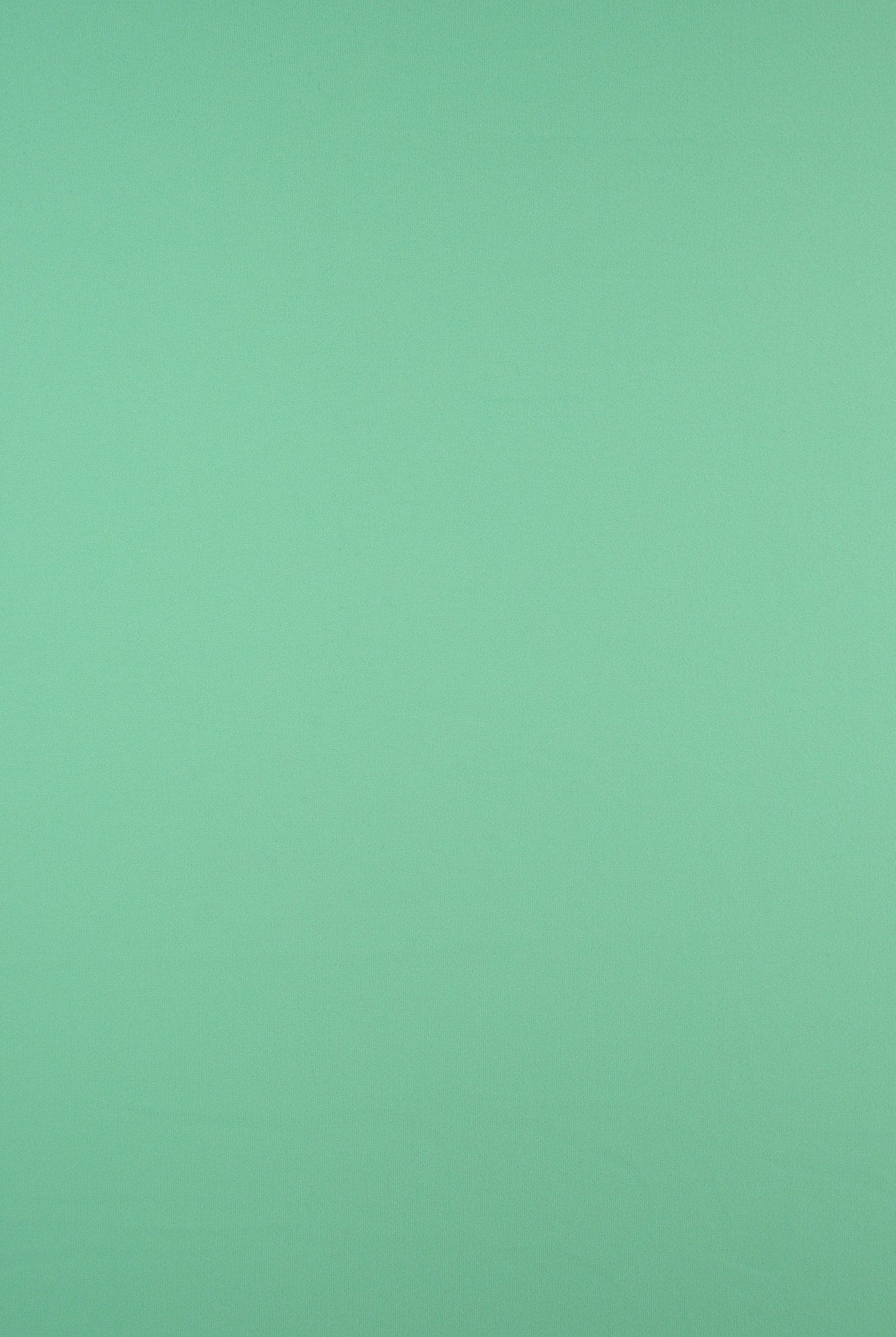 DTY Brushed Solid Stretch Knit Fabric - KNT2100