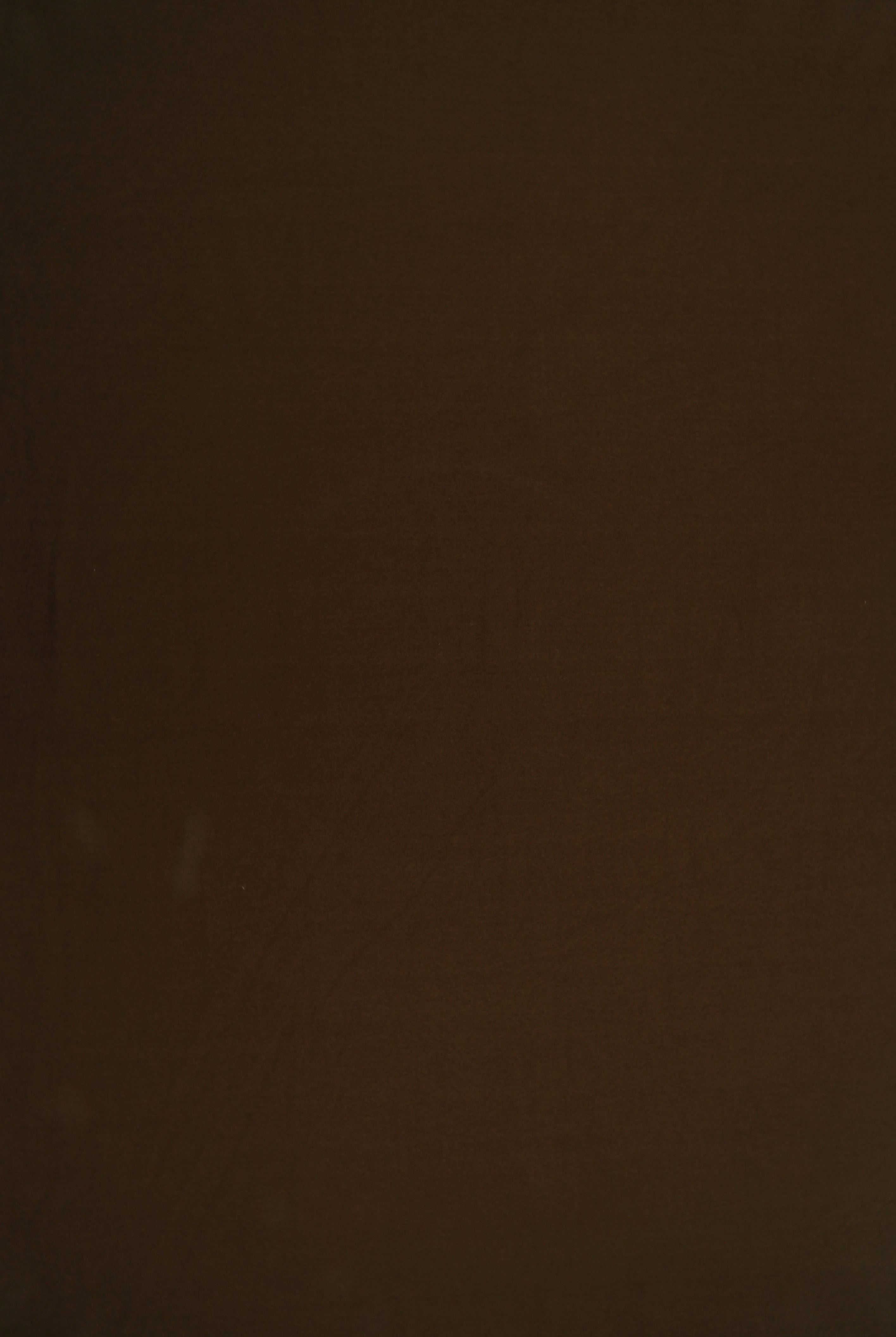 DTY Brushed Solid Stretch Knit Fabric - KNT2100