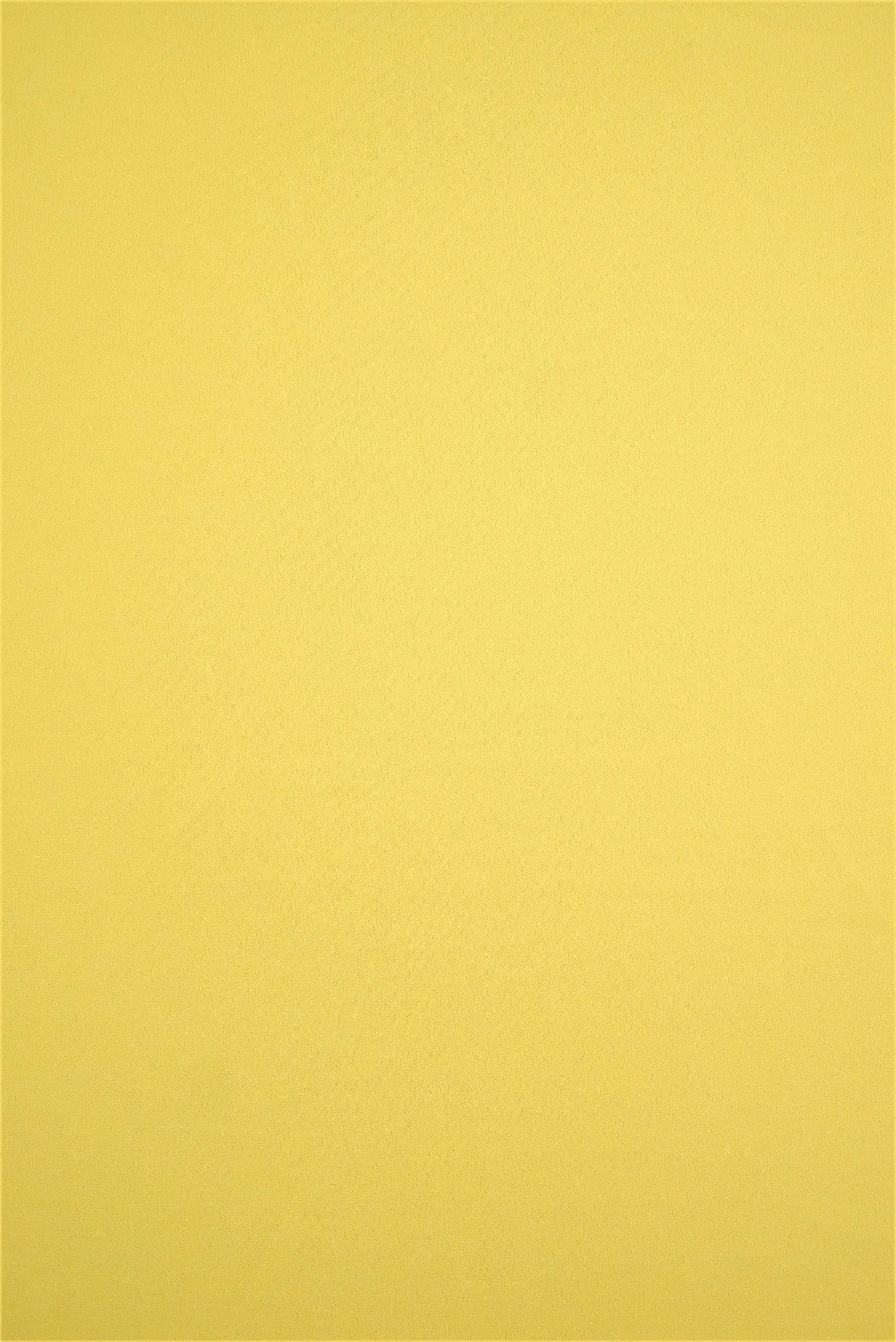 Techno Crepe Solid Stretch Knit Fabric - TECH-3311 