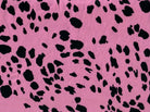 KNT2100-MS11241 FUCHSIA ANIMAL BIKER SHORTS BLACK BLOUSE BODYSUIT BOTTOMS DRESS DTY BRUSHED FUSCHIA KNIT POLYESTER PRINT SPANDEX STRETCH