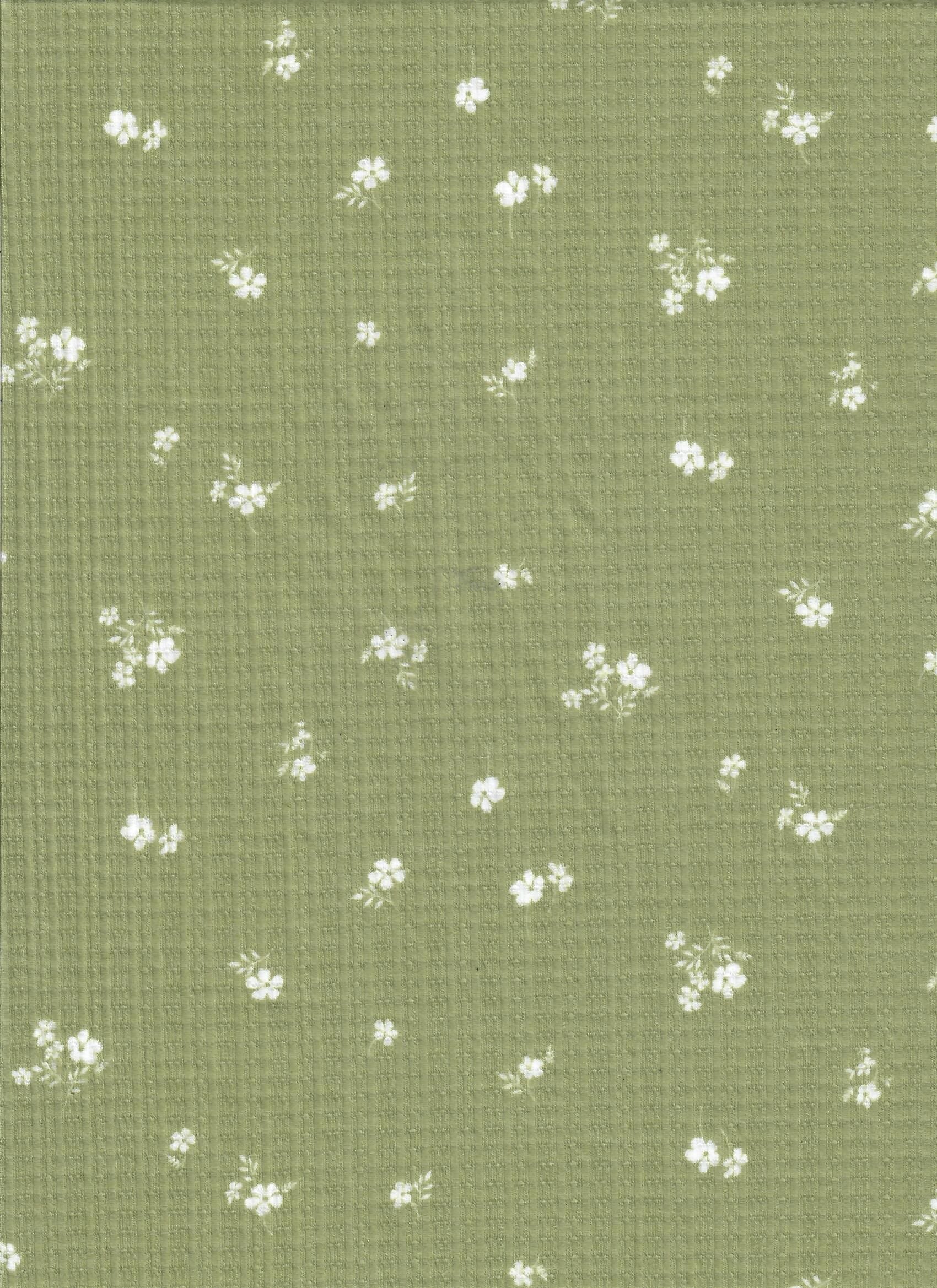 Pointelle Floral Stretch Knit Fabric - KNT3359-Q00620 