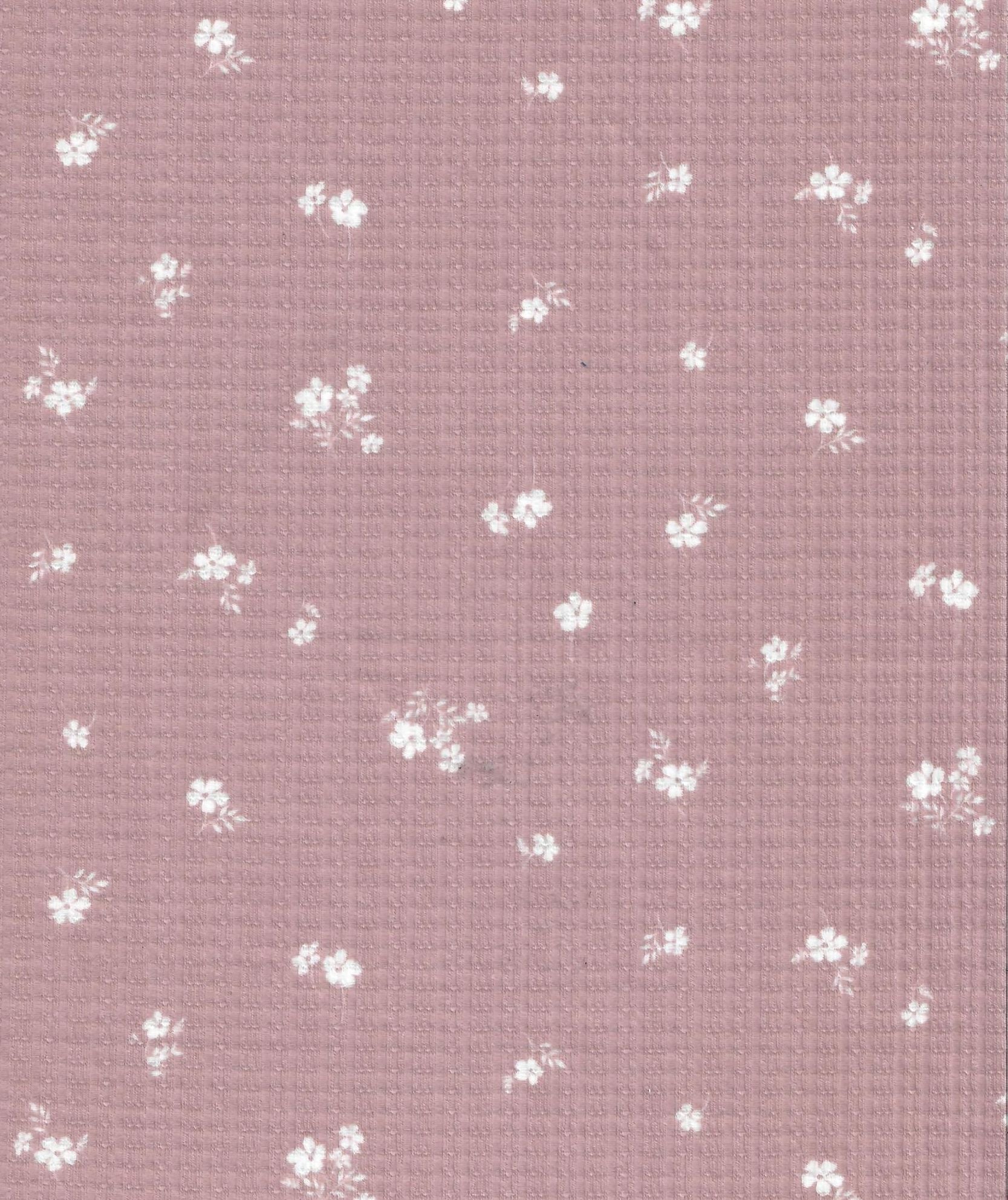 Pointelle Floral Stretch Knit Fabric - KNT3359-Q00620 