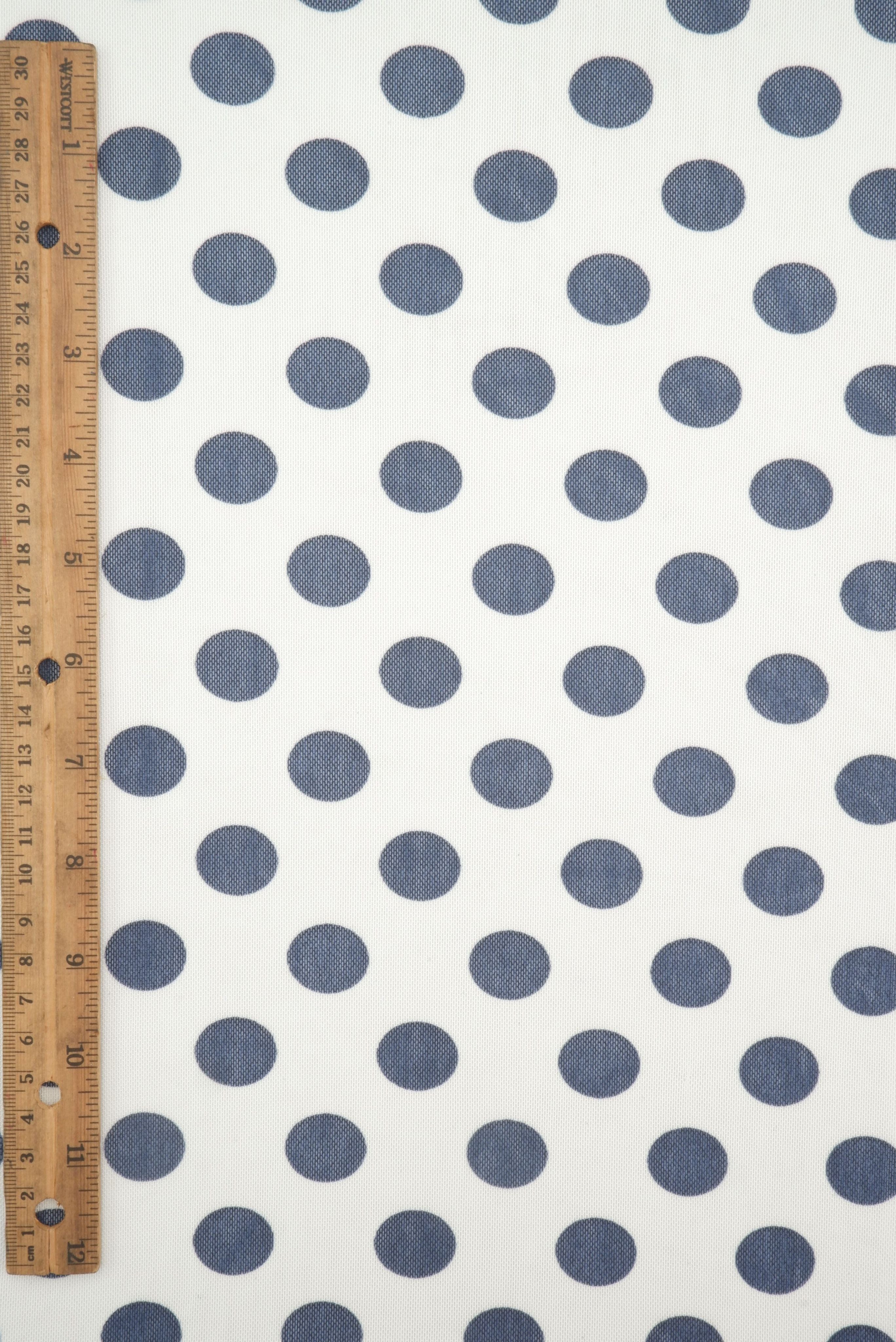 Polka Dot Mesh Print MESH-DU1665 