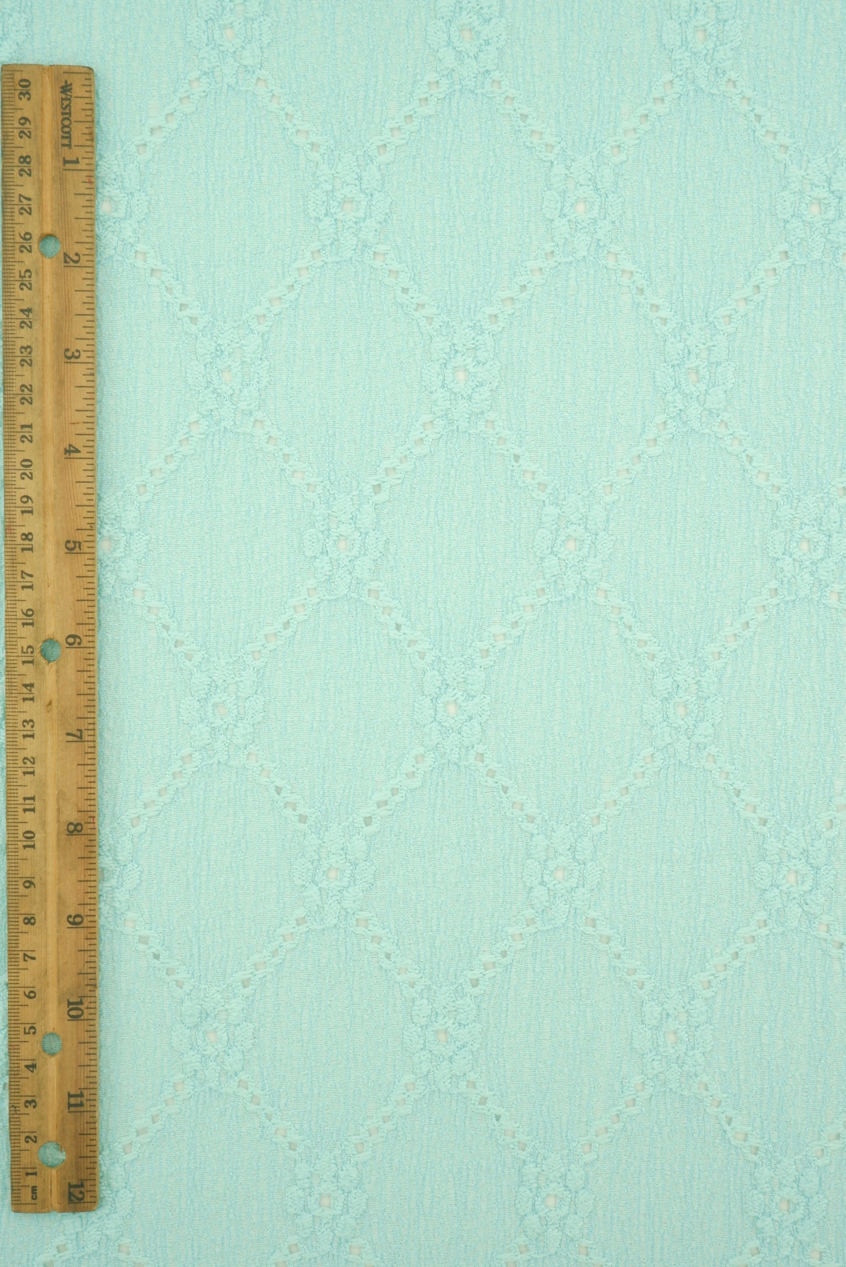 LACE4673 