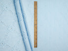 LACE4673 