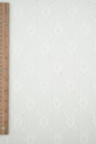 LACE4673 