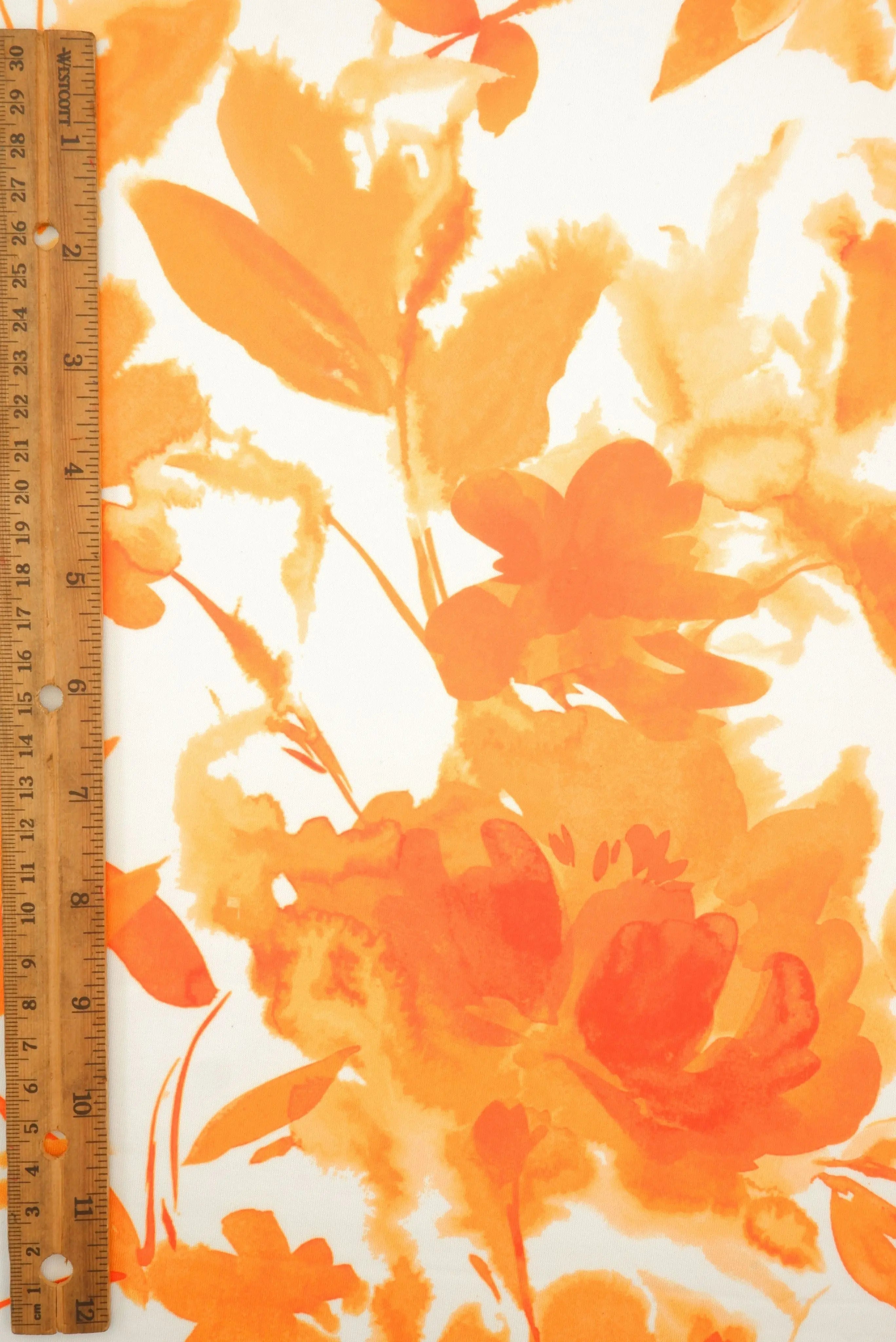 KNT4498-MS11589 