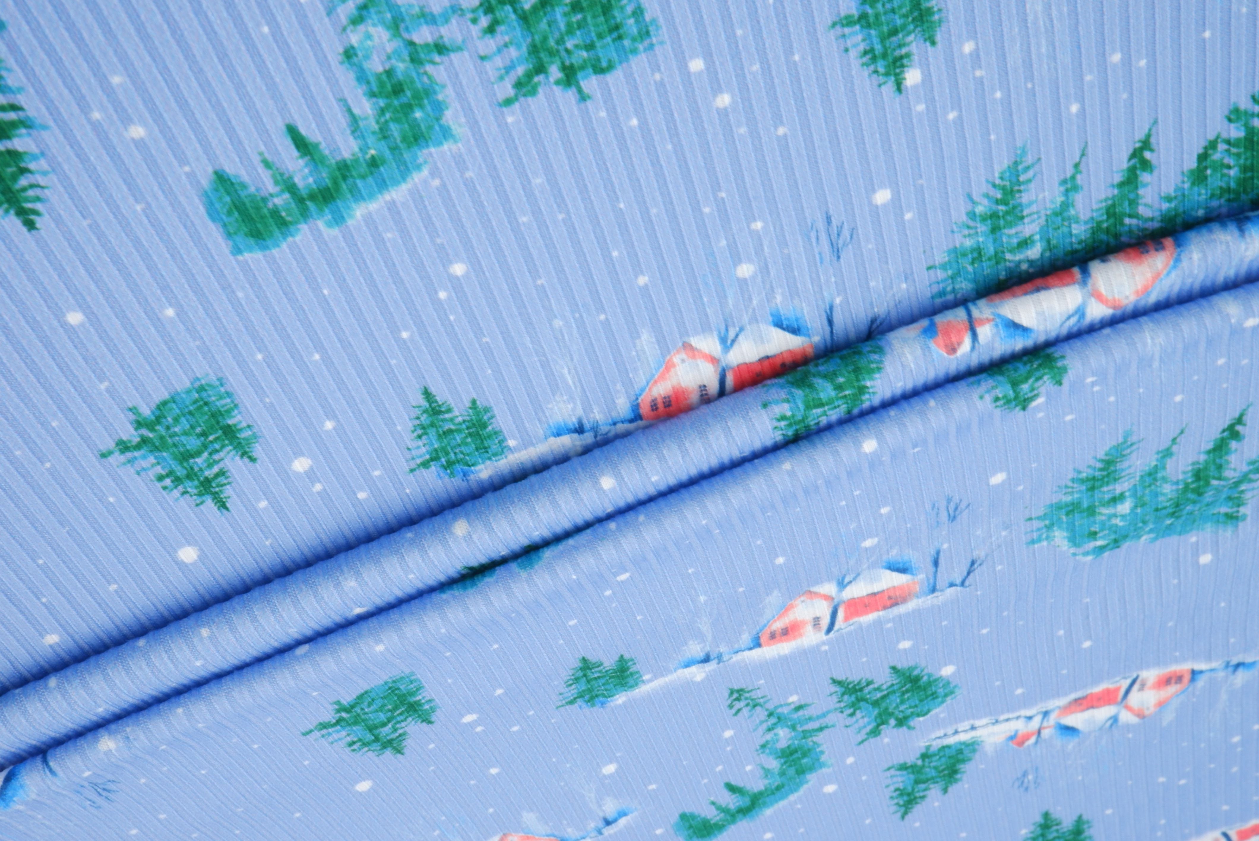 4x2 Rib Snow House Christmas Digital Print Knit Fabric _ DKNT4151-M11735 