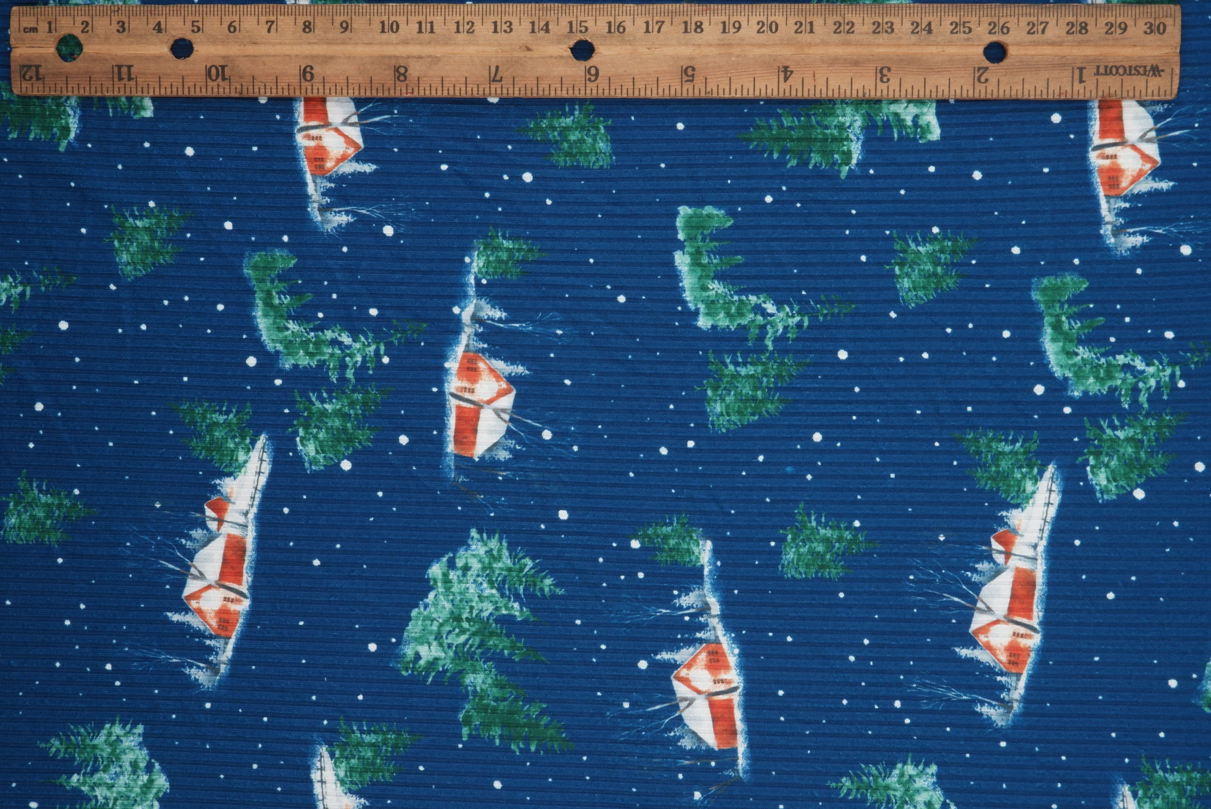 4x2 Rib Snow House Christmas Digital Print Knit Fabric _ DKNT4151-M11735 