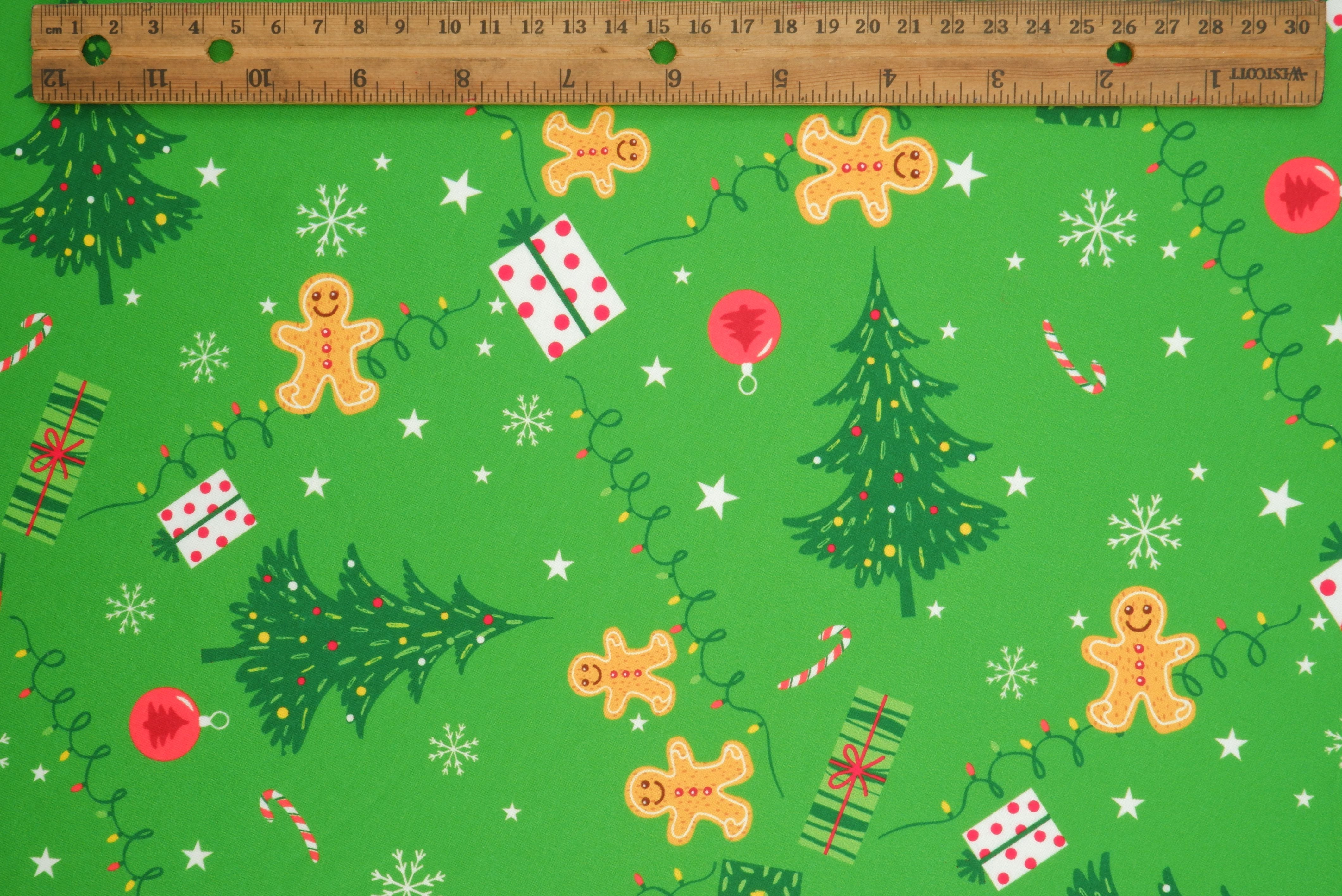 4x2 Rib Gingerbread Christmas Digital Knit Print _ DKNT4151-M11729 