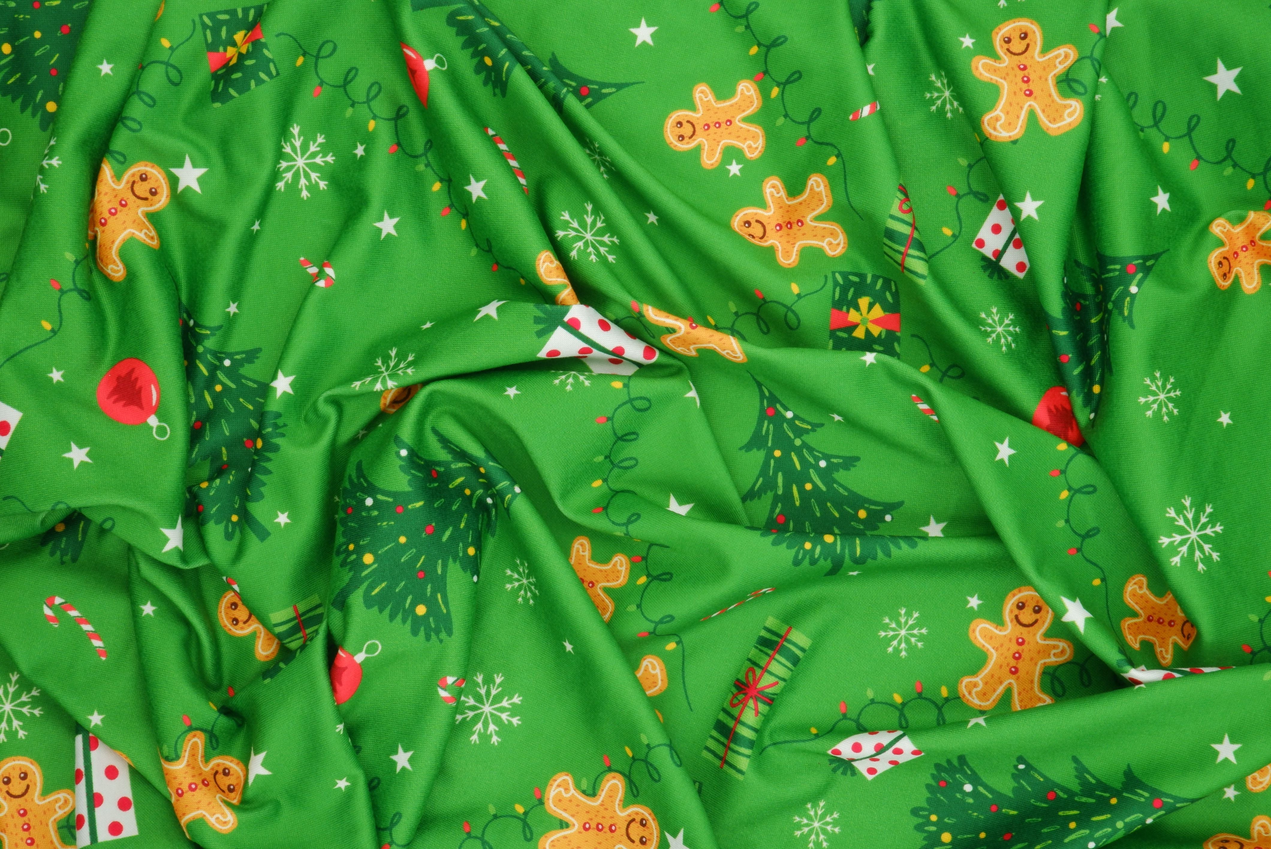 4x2 Rib Gingerbread Christmas Digital Knit Print _ DKNT4151-M11729 