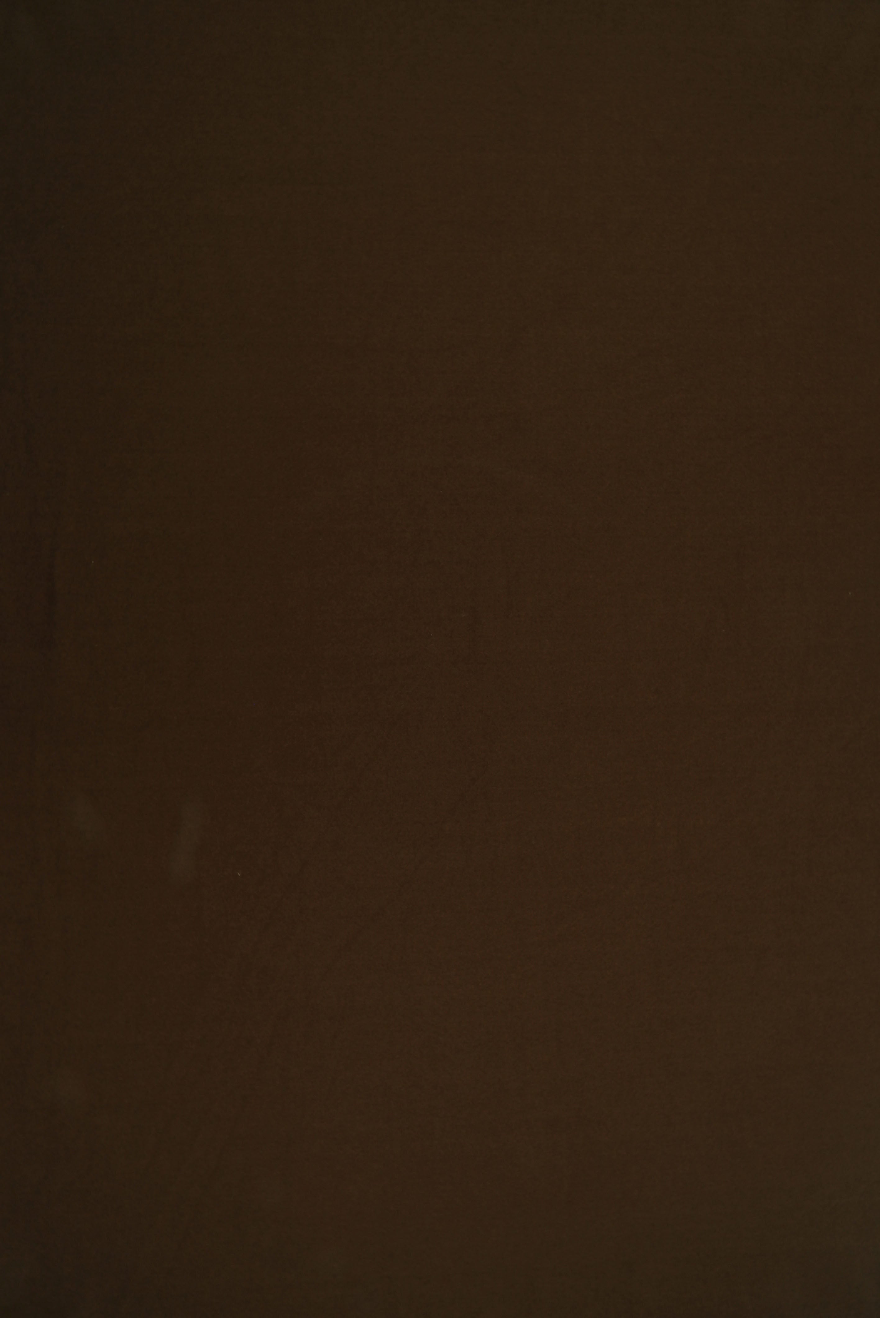 DTY Brushed Solid Stretch Knit Fabric - KNT2100 